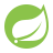 Logo do Spring Boot